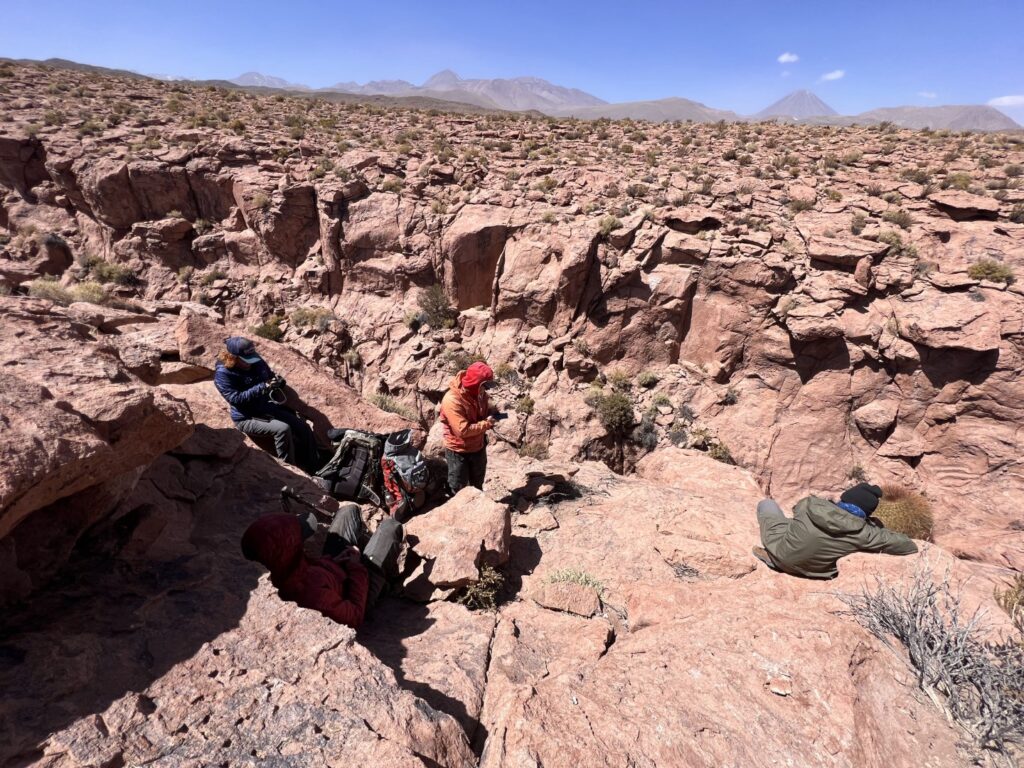MAS DE 10 AÑOS EXPLORANDO LOS MISTERIOS DEL DESIERTO DE ATACAMA - Gato ...