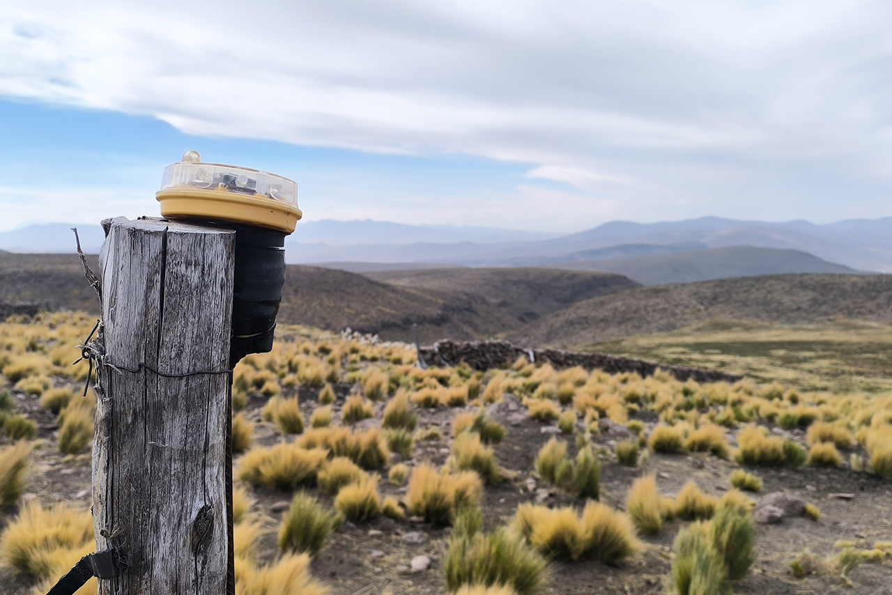 In Peru and Argentina, non-lethal mitigation actions were implemented in the same territories where responsible pet ownership efforts were also carried out, creating a synergy aimed at reducing conflicts with wild carnivores and sustaining coexistence. ©Anthony Pino Ch. / AGA