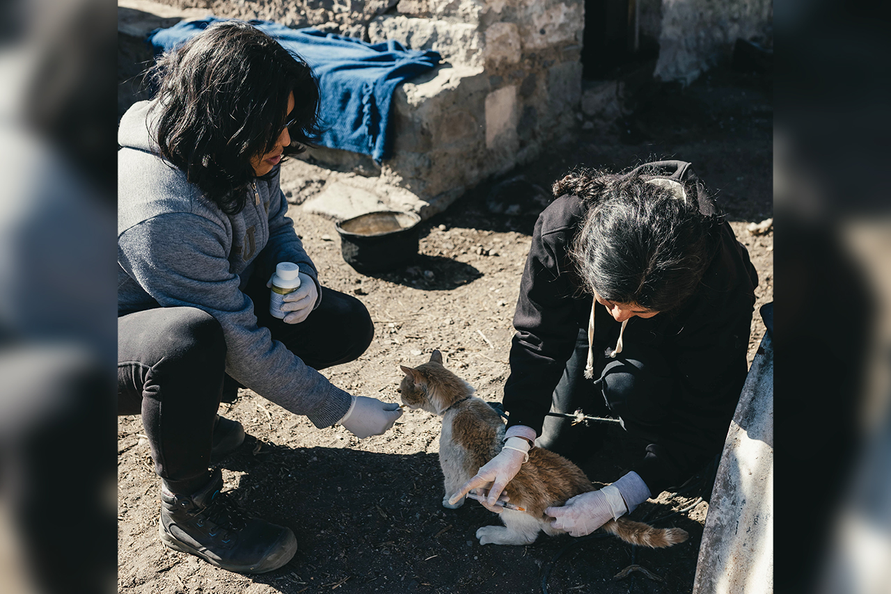 The deworming, vaccination, and sterilization campaigns carried out in San Juan de Tarucani, Peru, are part of a responsible pet ownership strategy that contributes to animal health and conservation. ©Franco Zegarra / AGA