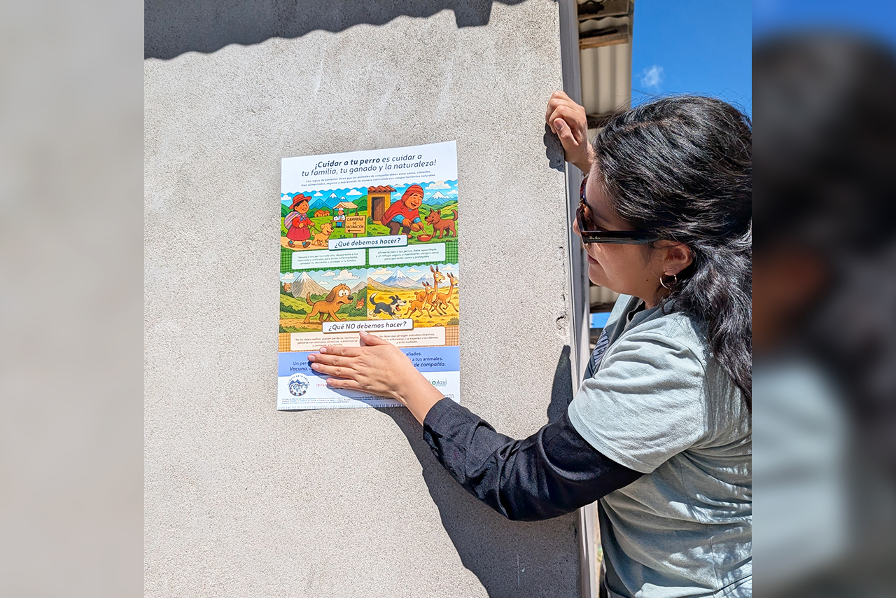 The deworming, vaccination, and sterilization campaigns carried out in San Juan de Tarucani, Peru, are part of a responsible pet ownership strategy that contributes to animal health and conservation. ©Omar Rodriguez B. / AGA