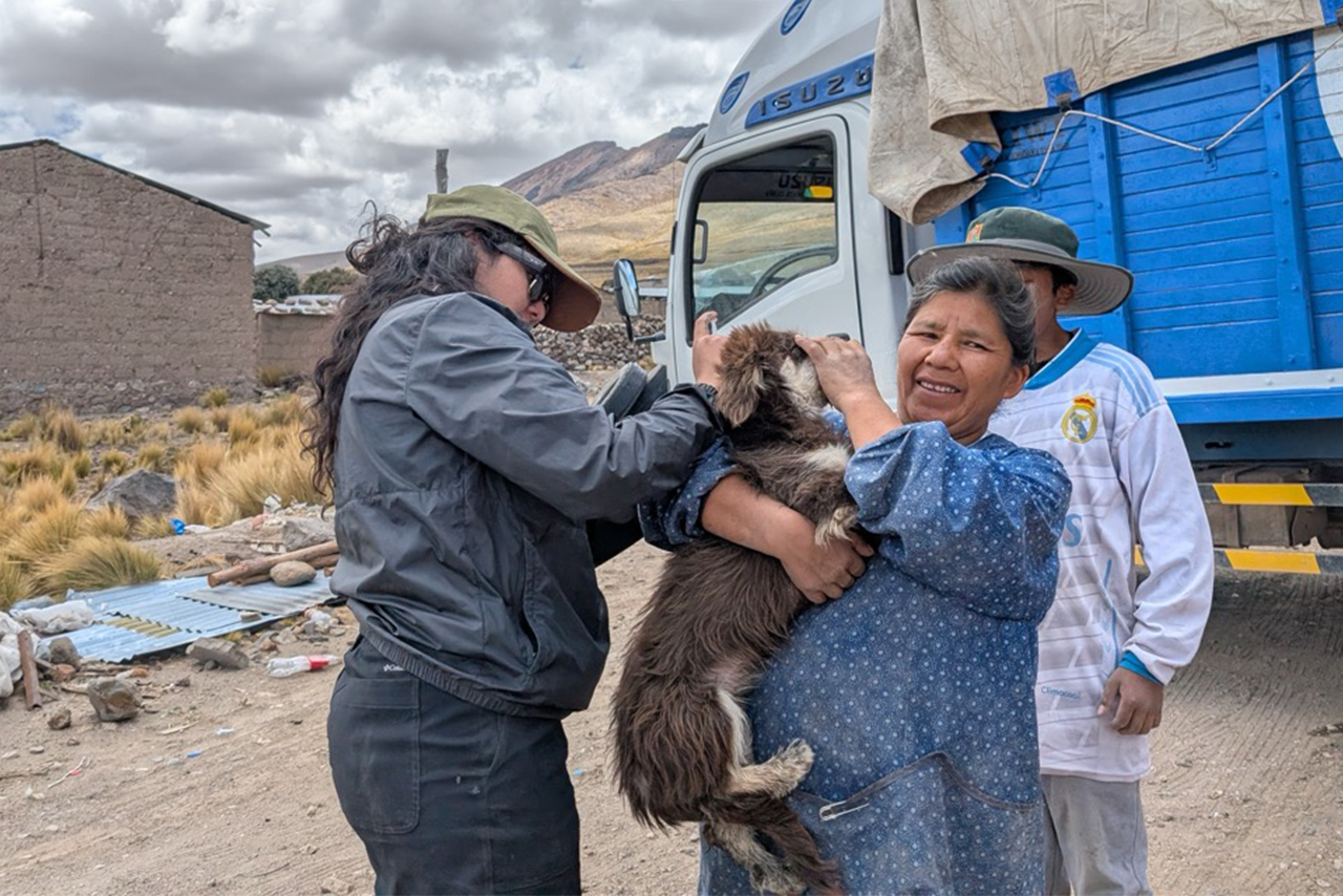 The deworming, vaccination, and sterilization campaigns carried out in San Juan de Tarucani, Peru, are part of a responsible pet ownership strategy that contributes to animal health and conservation. ©Omar Rodriguez B. / AGA